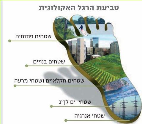 טביעת הרגל האקולוגית של כלל תושבי העולם, 2007-1961